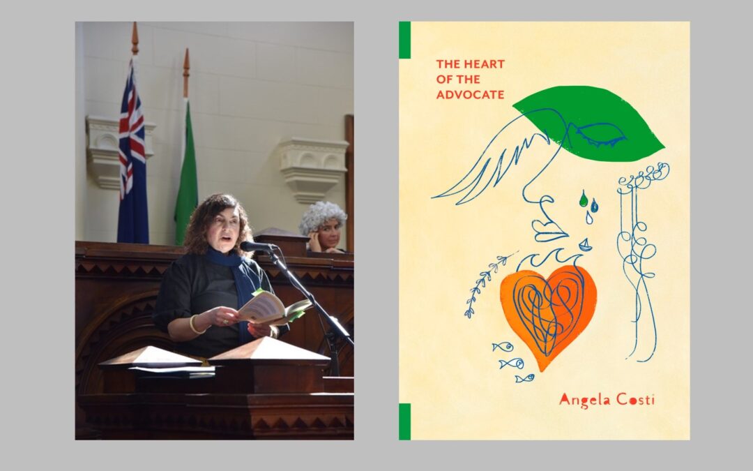 ‘The Heart of the Advocate’ – our day in court